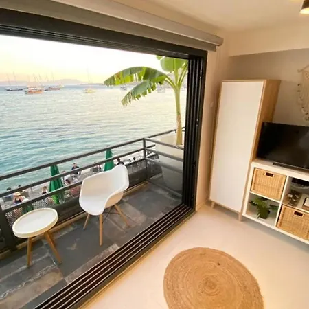 xxxxxxxx * Bodrum