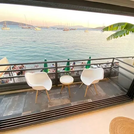 xxxxxxxx Appartement *